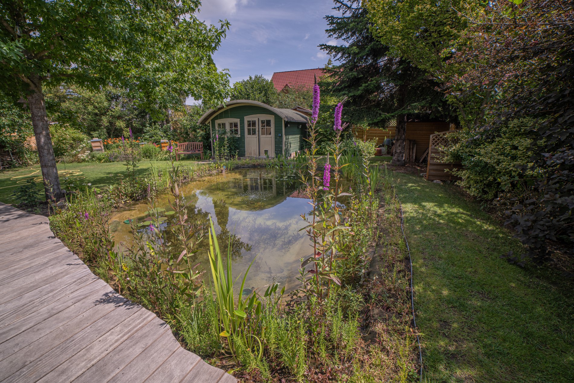 Komplette Teich Anlage bestehend Schwimm und Naturteich GaLaBau Alisch